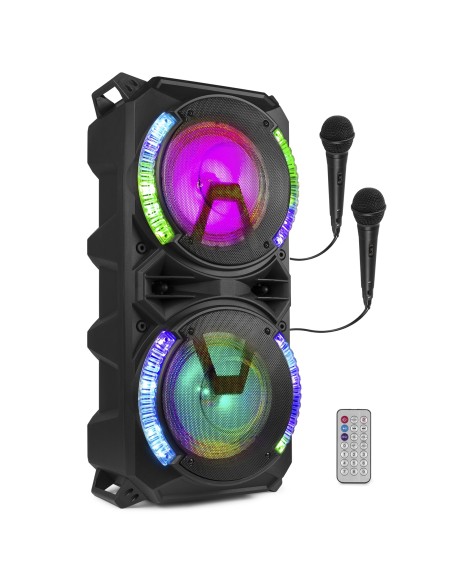 LIVE280 CONJUNTO KARAOKE 2X 8”