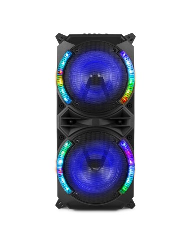 LIVE280 CONJUNTO KARAOKE 2X 8”