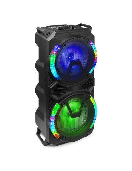 LIVE280 CONJUNTO KARAOKE 2X 8”