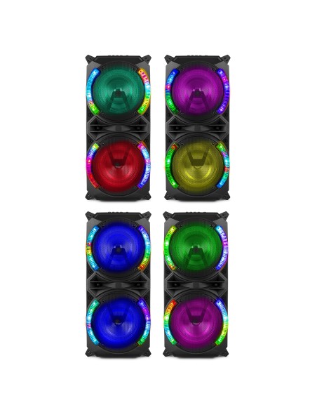 LIVE280 CONJUNTO KARAOKE 2X 8”