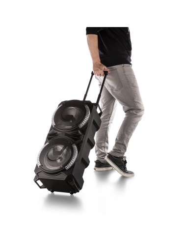 LIVE280 CONJUNTO KARAOKE 2X 8”