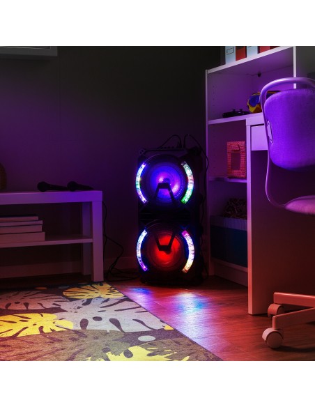 LIVE280 CONJUNTO KARAOKE 2X 8”