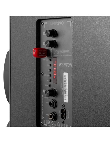 ESTACIÓN KARAOKE LIVE290 CON SHOW DE LUCES 2X 8”