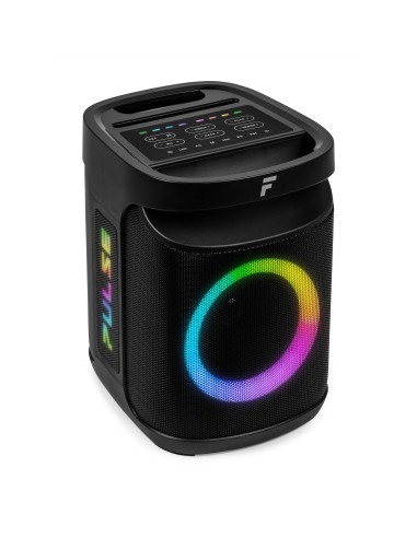 PULSE65 PARTY SPEAKER IN/OUTDOOR