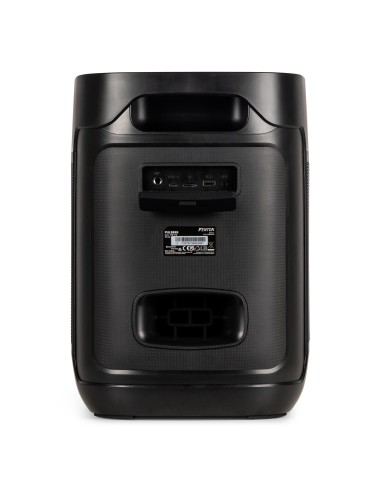 PULSE65 PARTY SPEAKER IN/OUTDOOR