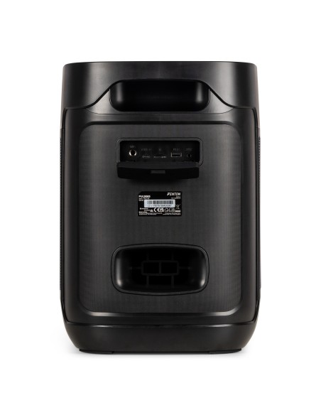 PULSE65 PARTY SPEAKER IN/OUTDOOR