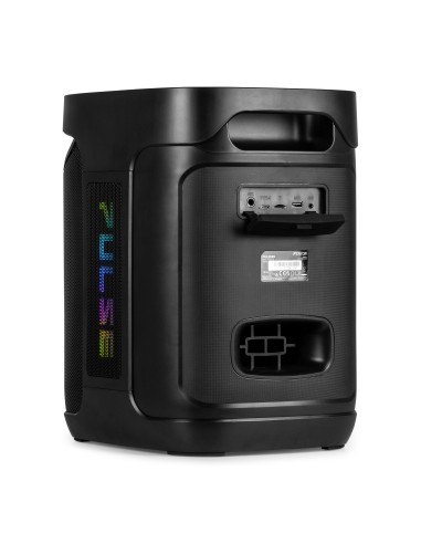 PULSE65 PARTY SPEAKER IN/OUTDOOR