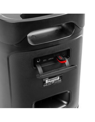 PULSE65 PARTY SPEAKER IN/OUTDOOR