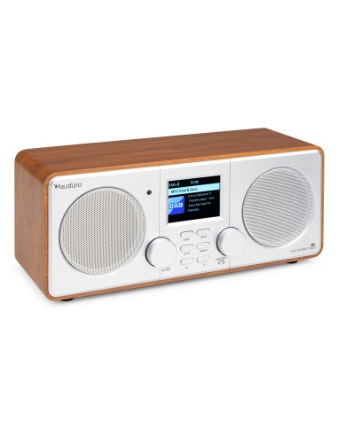 FOZA RADIO WIFI INTERNET ESTÉREO CON DAB + PLATA