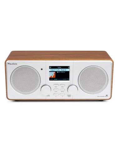 FOZA RADIO WIFI INTERNET ESTÉREO CON DAB + PLATA