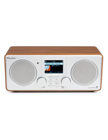FOZA RADIO WIFI INTERNET ESTÉREO CON DAB + PLATA