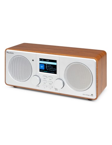 FOZA RADIO WIFI INTERNET ESTÉREO CON DAB + PLATA