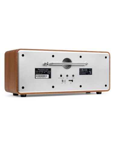 FOZA RADIO WIFI INTERNET ESTÉREO CON DAB + PLATA