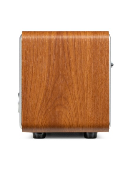 FOZA RADIO WIFI INTERNET ESTÉREO CON DAB + PLATA