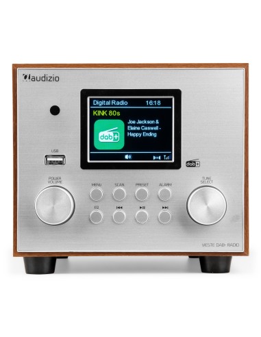 VIESTE RADIO DAB+ CON SUBWOOFER PLATA