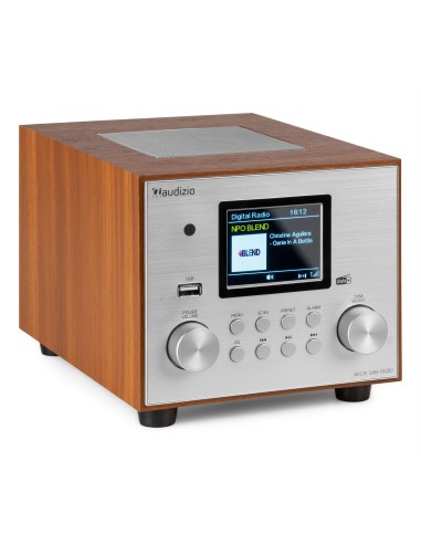 VIESTE RADIO DAB+ CON SUBWOOFER PLATA