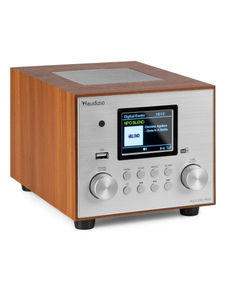 VIESTE RADIO DAB+ CON SUBWOOFER PLATA