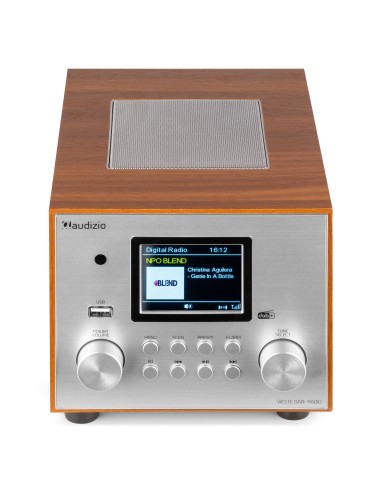 VIESTE RADIO DAB+ CON SUBWOOFER PLATA