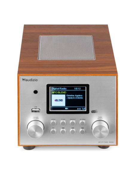 VIESTE RADIO DAB+ CON SUBWOOFER PLATA