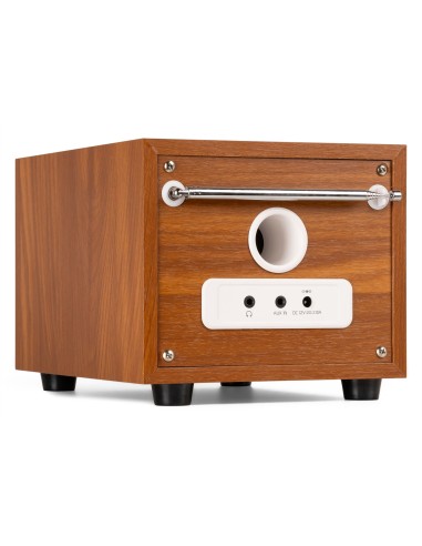 VIESTE RADIO DAB+ CON SUBWOOFER PLATA