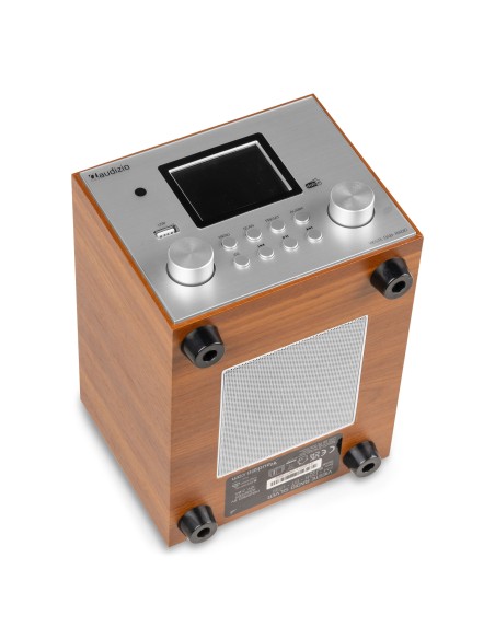 VIESTE RADIO DAB+ CON SUBWOOFER PLATA