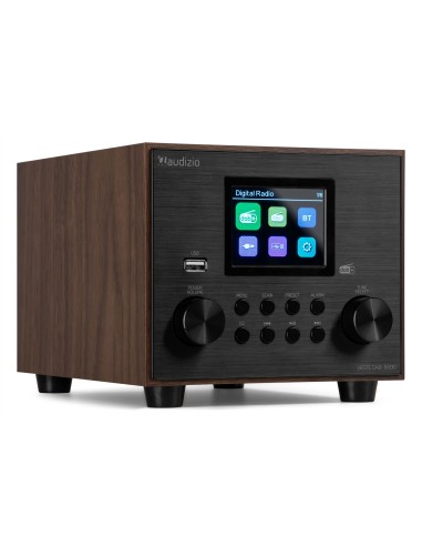 InicioHiFi domesticoDAB & Internet Radios Power Dynamics VIESTE RADIO DAB+ CON SUBWOOFER MADERA vista 4
