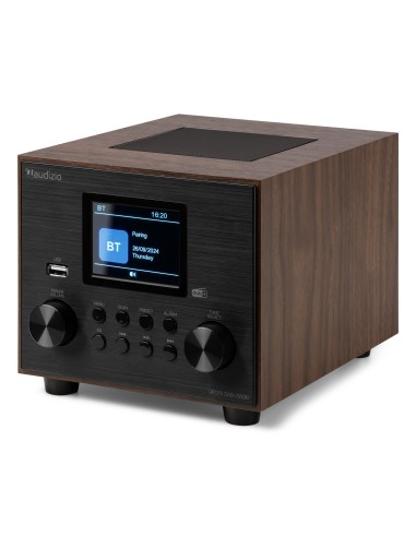 InicioHiFi domesticoDAB & Internet Radios Power Dynamics VIESTE RADIO DAB+ CON SUBWOOFER MADERA vista 9