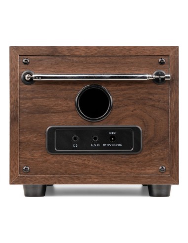 InicioHiFi domesticoDAB & Internet Radios Power Dynamics VIESTE RADIO DAB+ CON SUBWOOFER MADERA vista 10