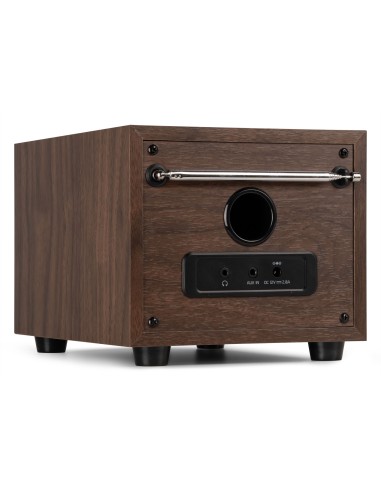 InicioHiFi domesticoDAB & Internet Radios Power Dynamics VIESTE RADIO DAB+ CON SUBWOOFER MADERA vista 11