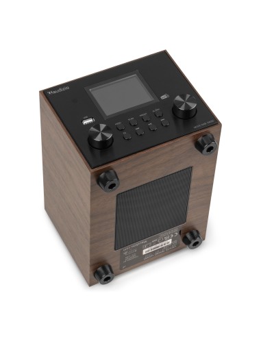 InicioHiFi domesticoDAB & Internet Radios Power Dynamics VIESTE RADIO DAB+ CON SUBWOOFER MADERA vista 13