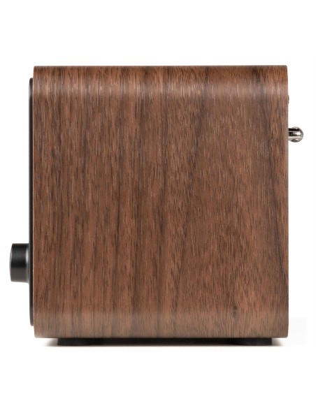 AVIO DAB+ RADIO MADERA