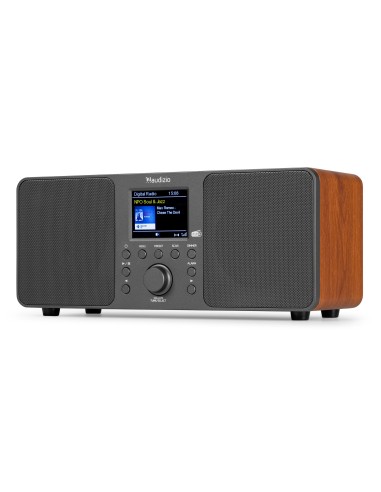 RADIO ESTÉREO GENUA DAB+ GRIS OSCURO