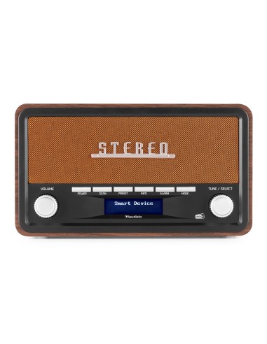 InicioHiFi domesticoDAB & Internet Radios Power Dynamics FOGGIA RADIO RETRO DAB+ COBRE vista 2