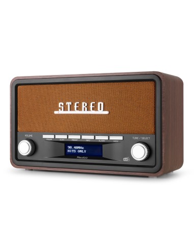 InicioHiFi domesticoDAB & Internet Radios Power Dynamics FOGGIA RADIO RETRO DAB+ COBRE vista 3