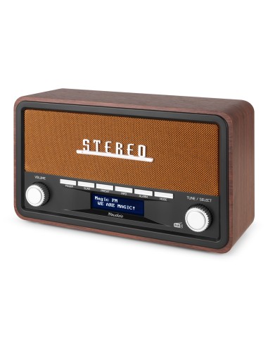 InicioHiFi domesticoDAB & Internet Radios Power Dynamics FOGGIA RADIO RETRO DAB+ COBRE vista 5