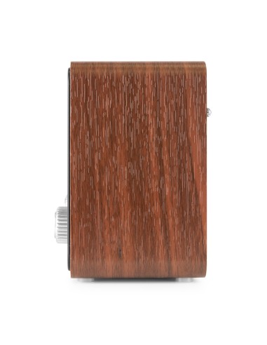 InicioHiFi domesticoDAB & Internet Radios Power Dynamics FOGGIA RADIO RETRO DAB+ COBRE vista 8