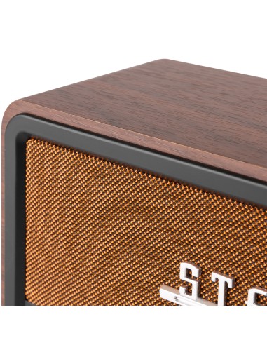 InicioHiFi domesticoDAB & Internet Radios Power Dynamics FOGGIA RADIO RETRO DAB+ COBRE vista 10