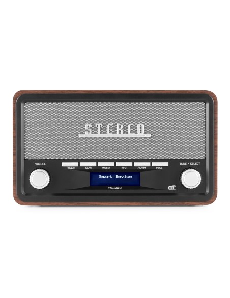 FOGGIA RADIO RETRO DAB+ GRIS