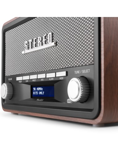 FOGGIA RADIO RETRO DAB+ GRIS