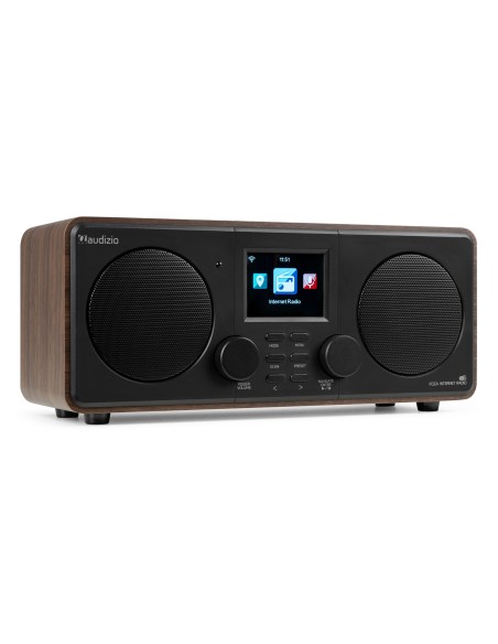 FOZA RADIO WIFI INTERNET ESTÉREO CON DAB + MADERA