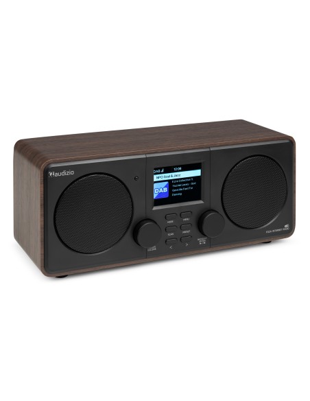 FOZA RADIO WIFI INTERNET ESTÉREO CON DAB + MADERA