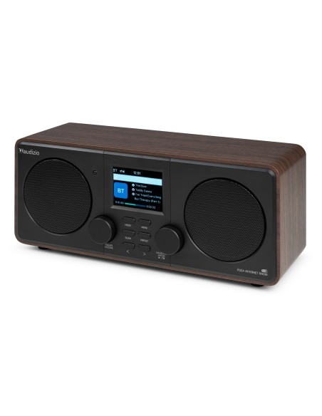 FOZA RADIO WIFI INTERNET ESTÉREO CON DAB + MADERA