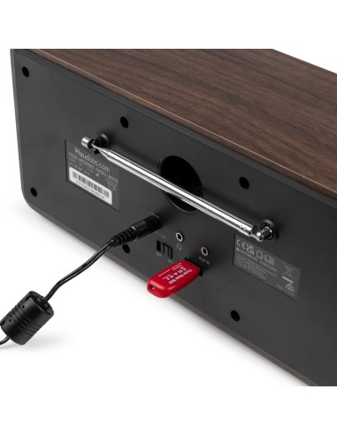 FOZA RADIO WIFI INTERNET ESTÉREO CON DAB + MADERA