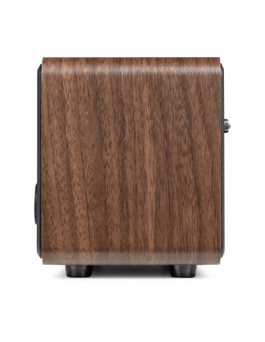 FOZA RADIO WIFI INTERNET ESTÉREO CON DAB + MADERA