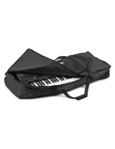 InicioHiFi domesticoInstrumentsStands & Accessories AC138 SOFTCASE LARGE vista 3