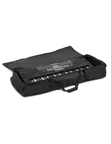 InicioHiFi domesticoInstrumentsStands & Accessories AC138 SOFTCASE LARGE vista 4