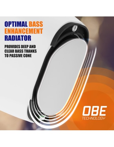 BD50B ALTAVOZ DE PARED INTERIOR/EXTERIOR NEGRO 120W