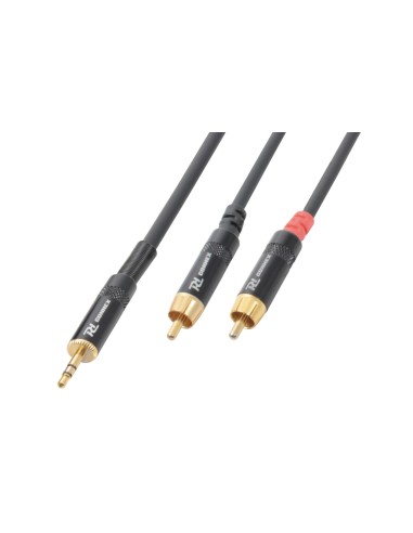 CX85-6 CABLE 3.5 STEREO- 2XRCA MACHO 6.0M