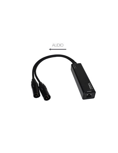 AUX-DANTE-0X2