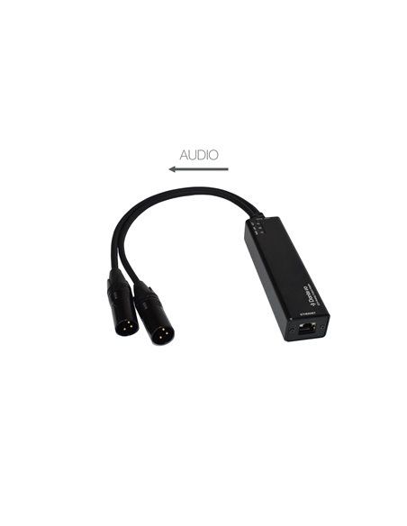 AUX-DANTE-0X2